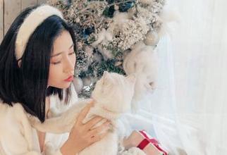 每年都期待的高跟鞋，年年Nnian带来的免费图包，不要错过啊！