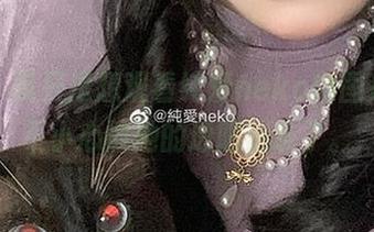 抱歉，我只是想观看纯爱neko的图片，却不小心被她的透明治愈了。